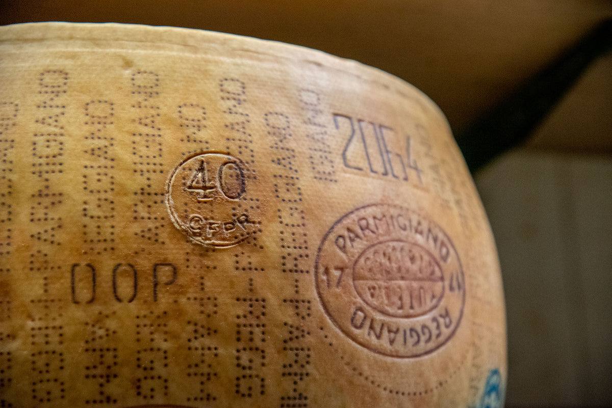 Crosta di una forma di Parmigiano Reggiano DOP con la puntinatura e la matricola 2064 del caseificio
