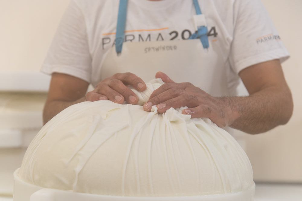 La forma messa in fascera