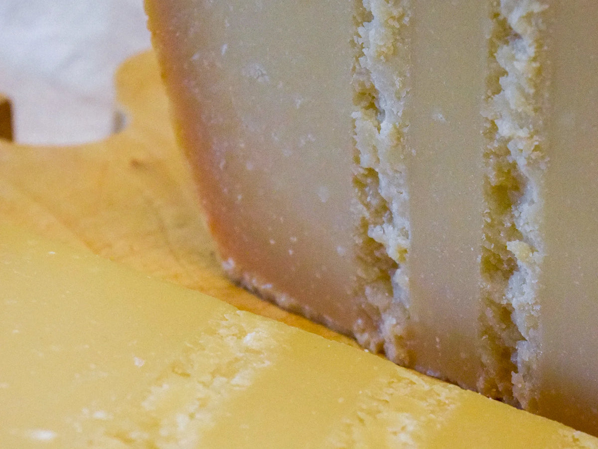 Dettaglio della pasta del Parmigiano Reggiano halal 30 mesi